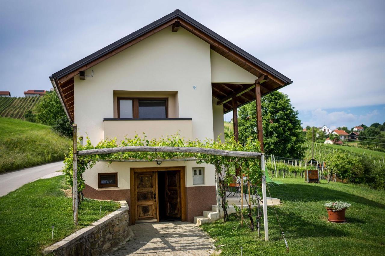 Holiday House Zlacka Gorca Pristava pri Mestinju Exterior foto